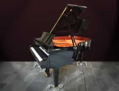 Fluegel_klein1.webp